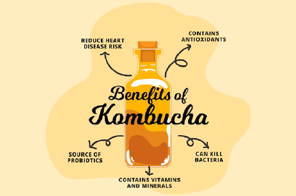 Lợi ích tăng cường hệ miễn dịch của kombucha